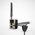 Diebstahl Stahlseil an der Trailcam 4G NExtGEn Wildkamera